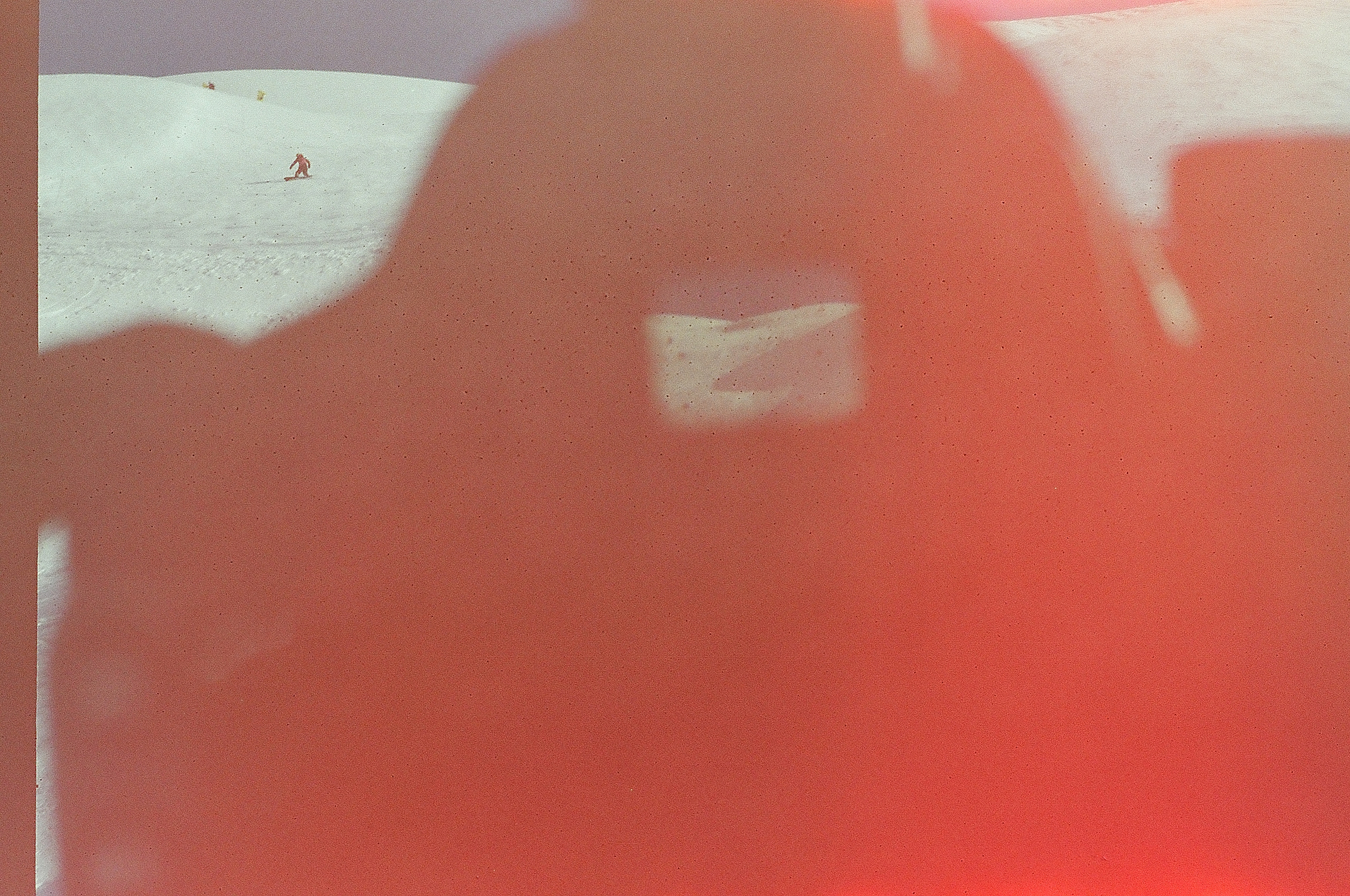24770018.jpg